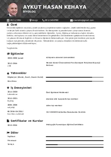 cv indir